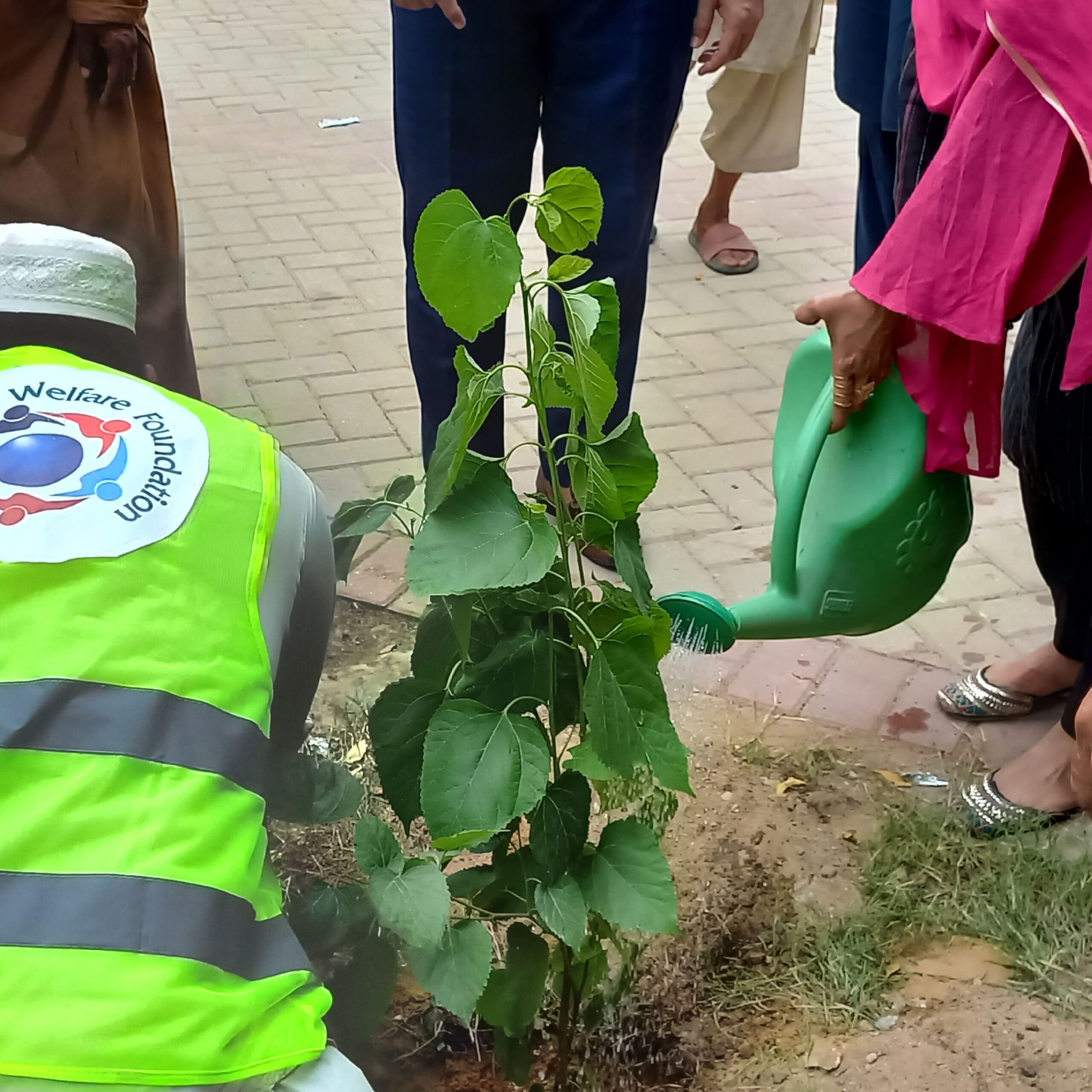 CSWF IT Skills Training iniitiative page