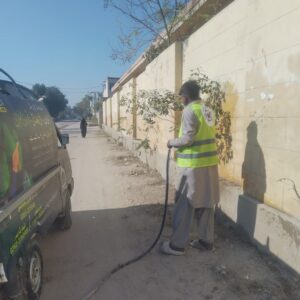 PLANTATION ACTIVITY BY CSF