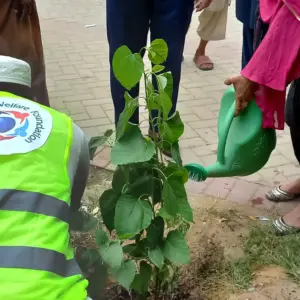 Plantation-h6,Gallery-h2-Plantation6/6