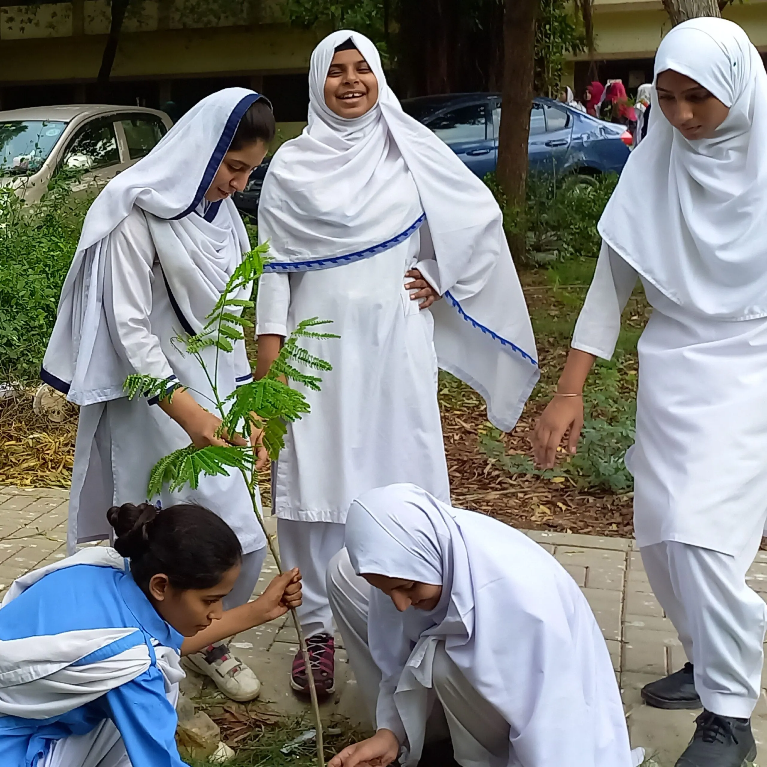 LATEST EVENTS PLANTATION DRIVE 13