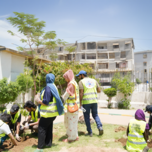 Plantation - CSF in collaboration with Hammad Foundation